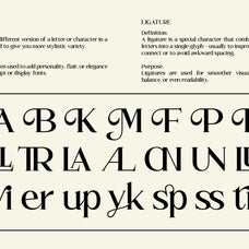 callmira-minimal-modern-serif-font-roomspace-creative-lab-10.jpg
