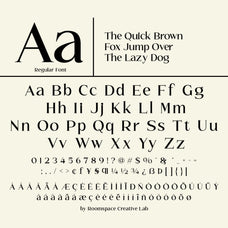 callmira-minimal-modern-serif-font-roomspace-creative-lab-11.jpg
