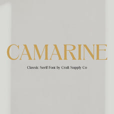 camarine-modern-serif-craft-supply-co-1.jpg