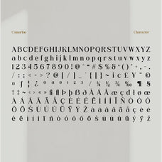 camarine-modern-serif-craft-supply-co-8.jpg