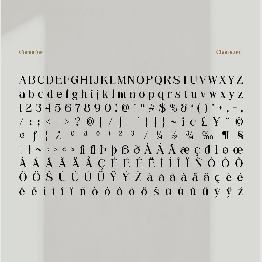 camarine-modern-serif-craft-supply-co-8.jpg