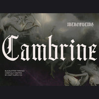 Cambrine – Blackletter Font