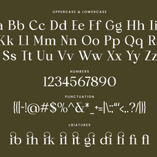 canilera-luxury-ligature-serif-font-ragamkata-studio-10.png