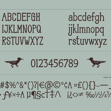 canyonell-country-display-typeface-riff-type-3.jpg