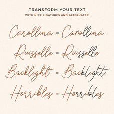caramella-modern-signature-script-font-unknown-creator-3.jpg