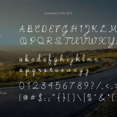 carfiny-script-font-catalystco-studio-2.jpg
