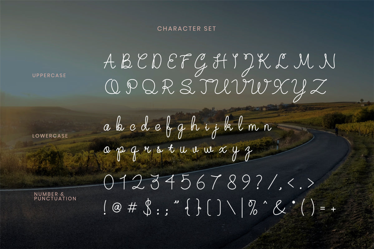 carfiny-script-font-catalystco-studio-2.jpg