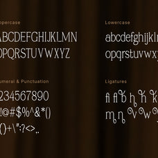 carhane-modern-ligature-serif-font-vadova-studio-2.jpg
