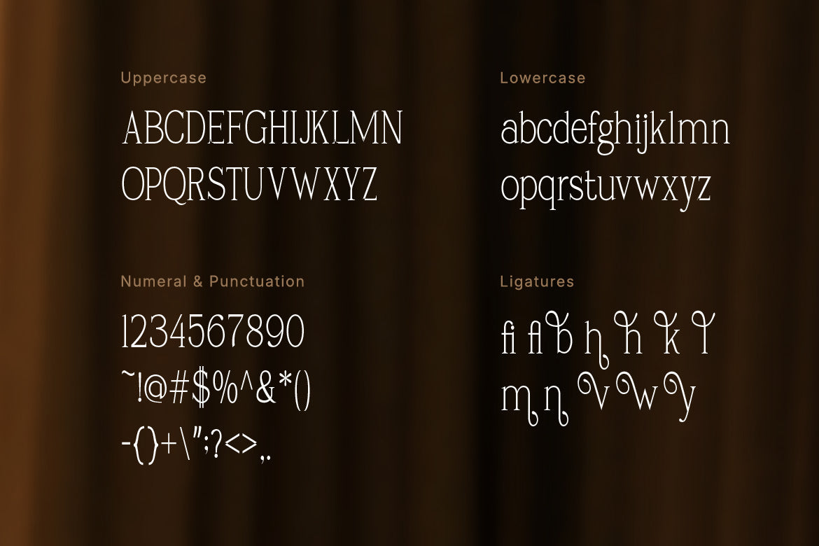 carhane-modern-ligature-serif-font-vadova-studio-2.jpg