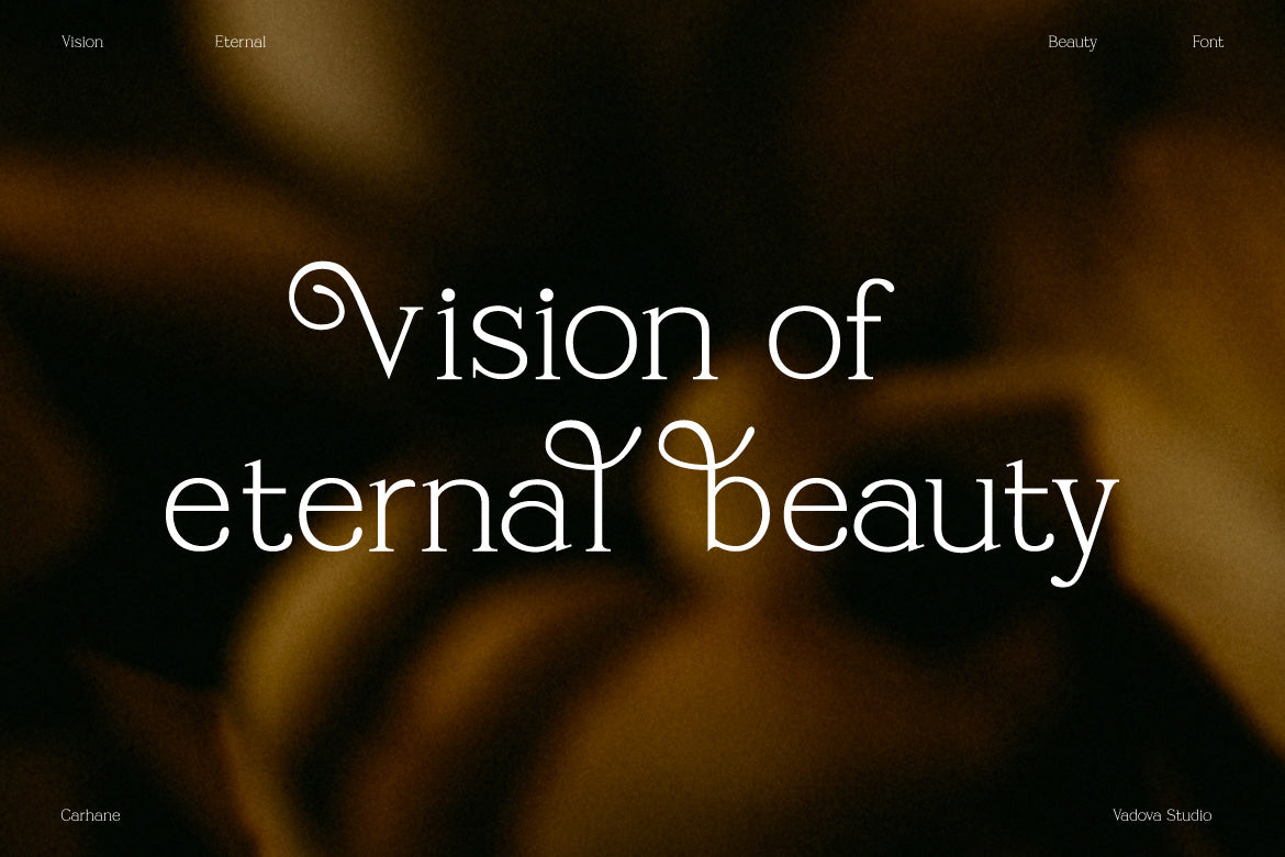 carhane-modern-ligature-serif-font-vadova-studio-4.jpg
