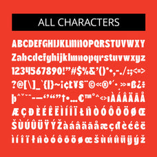 carlone-sans-serif-font-craft-supply-co-8.jpg
