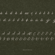 carmeline-elegance-script-font-rasio-std-3.png