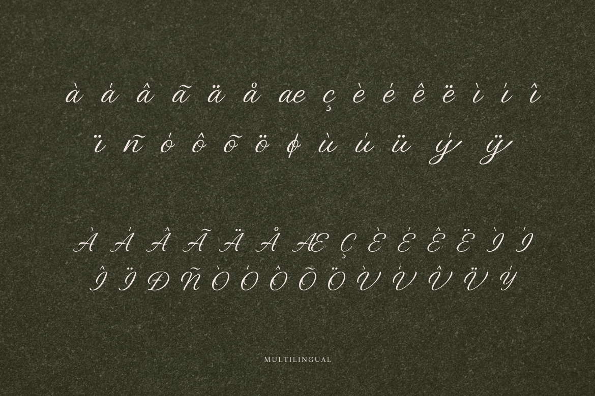 carmeline-elegance-script-font-rasio-std-3.png