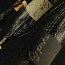 carmeline-elegance-script-font-rasio-std-4.png