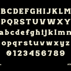 carnivels-bold-retro-serif-font-unknown-creator-21.png