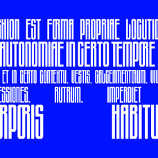 cas-layeer-max-condensed-display-casloop-studio-13.jpg