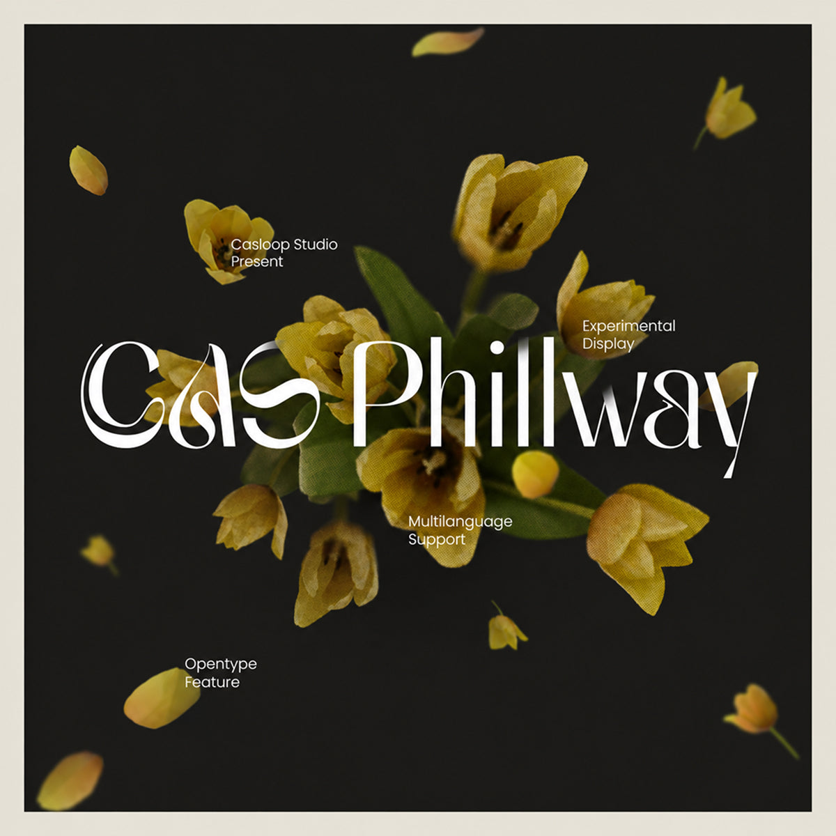 cas-phillway-elegant-font-casloop-studio-1.jpg