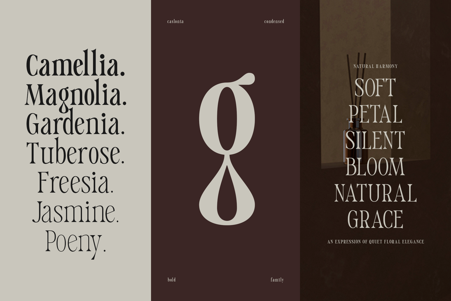 caslonia-retro-branding-logo-font-roomspace-creative-lab-3.png