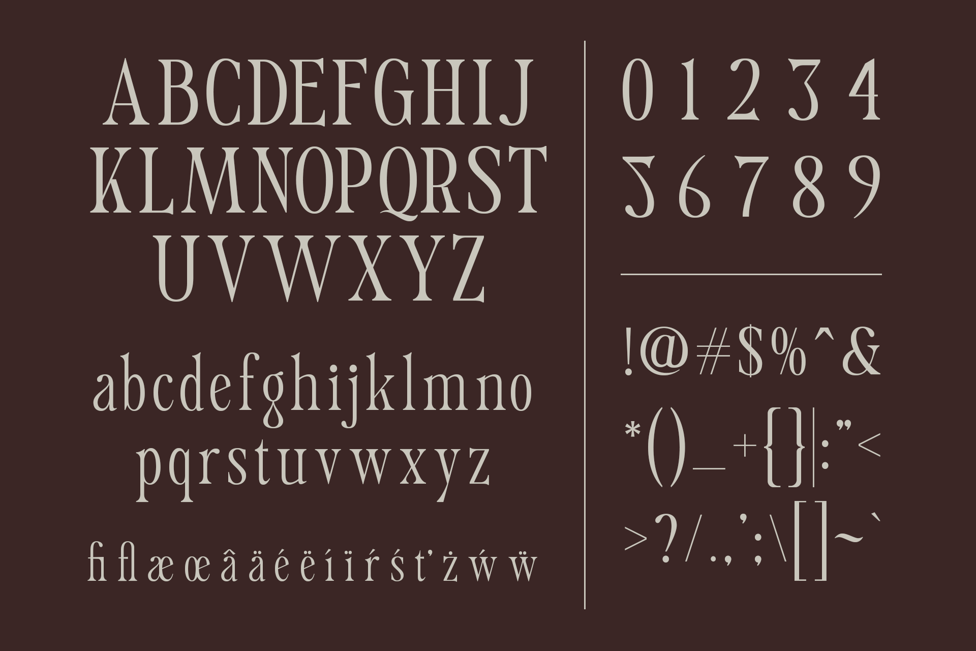 caslonia-retro-branding-logo-font-roomspace-creative-lab-9.png