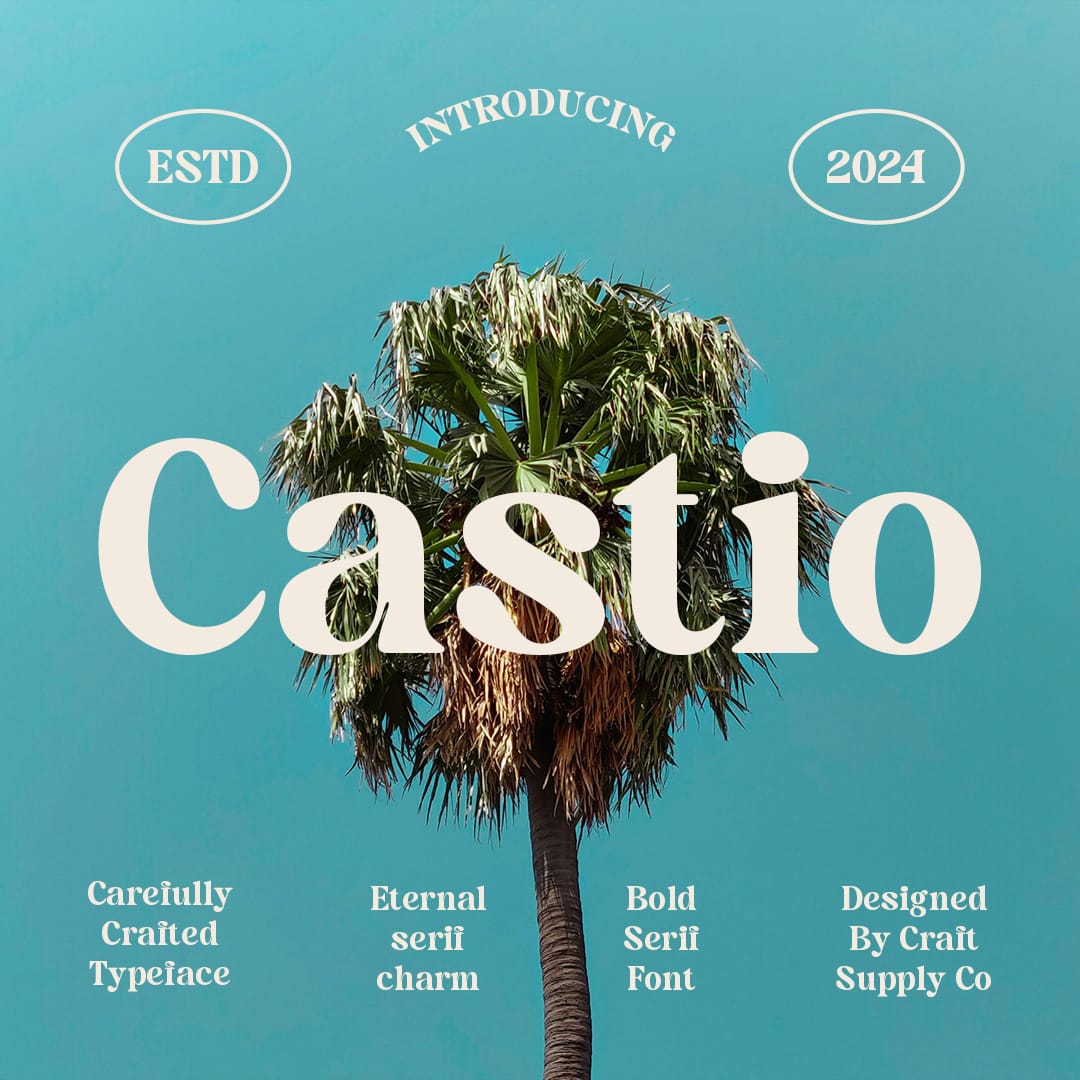 castio-bold-font-craft-supply-co-1.jpg