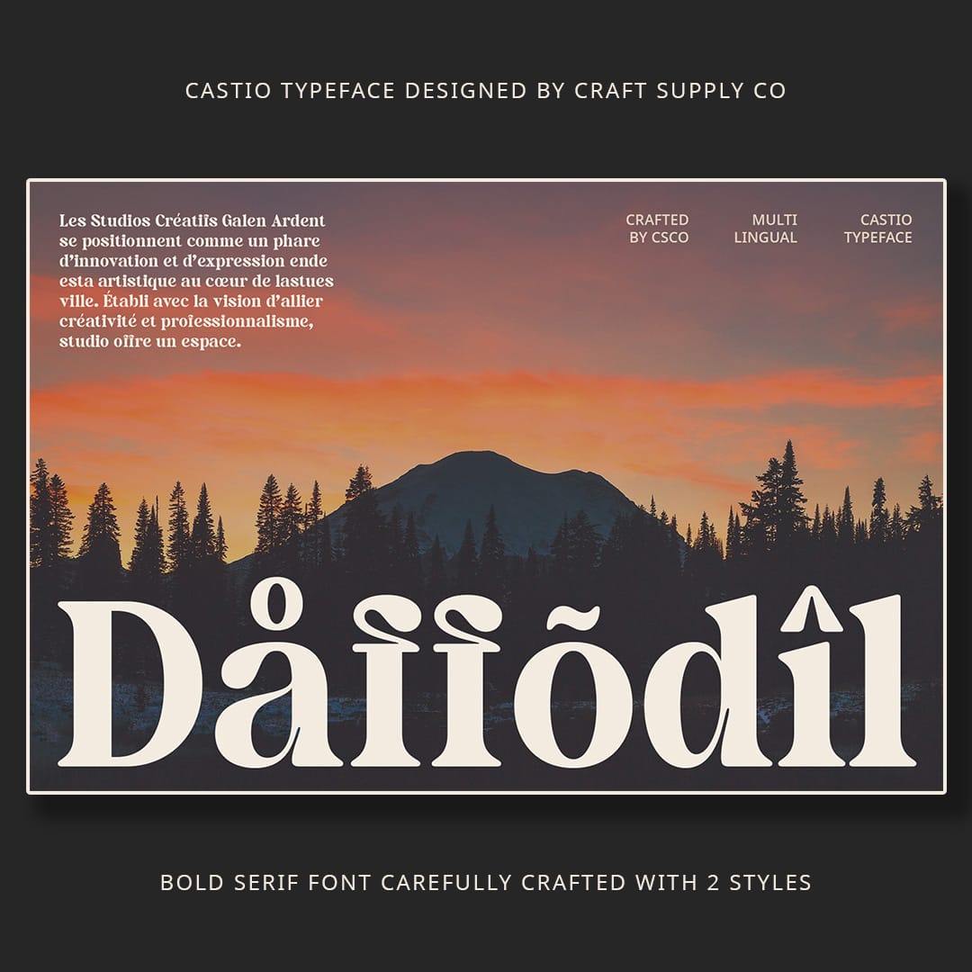 castio-bold-font-craft-supply-co-7.jpg