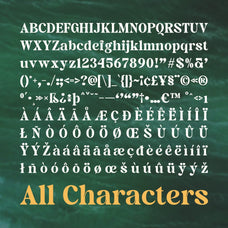 castio-bold-font-craft-supply-co-8.jpg