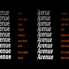 castle-of-avenue-family-luxury-serif-font-ragamkata-studio-6.png