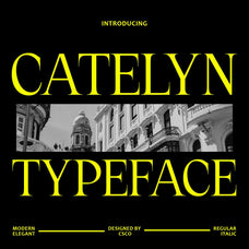 catelyn-elegant-font-craft-supply-co-1.jpg