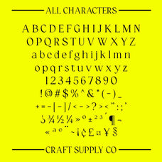 catelyn-elegant-font-craft-supply-co-8.jpg