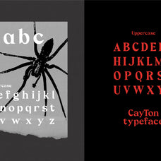 cayton-vintage-sharp-serif-font-drizy-font-3.jpg