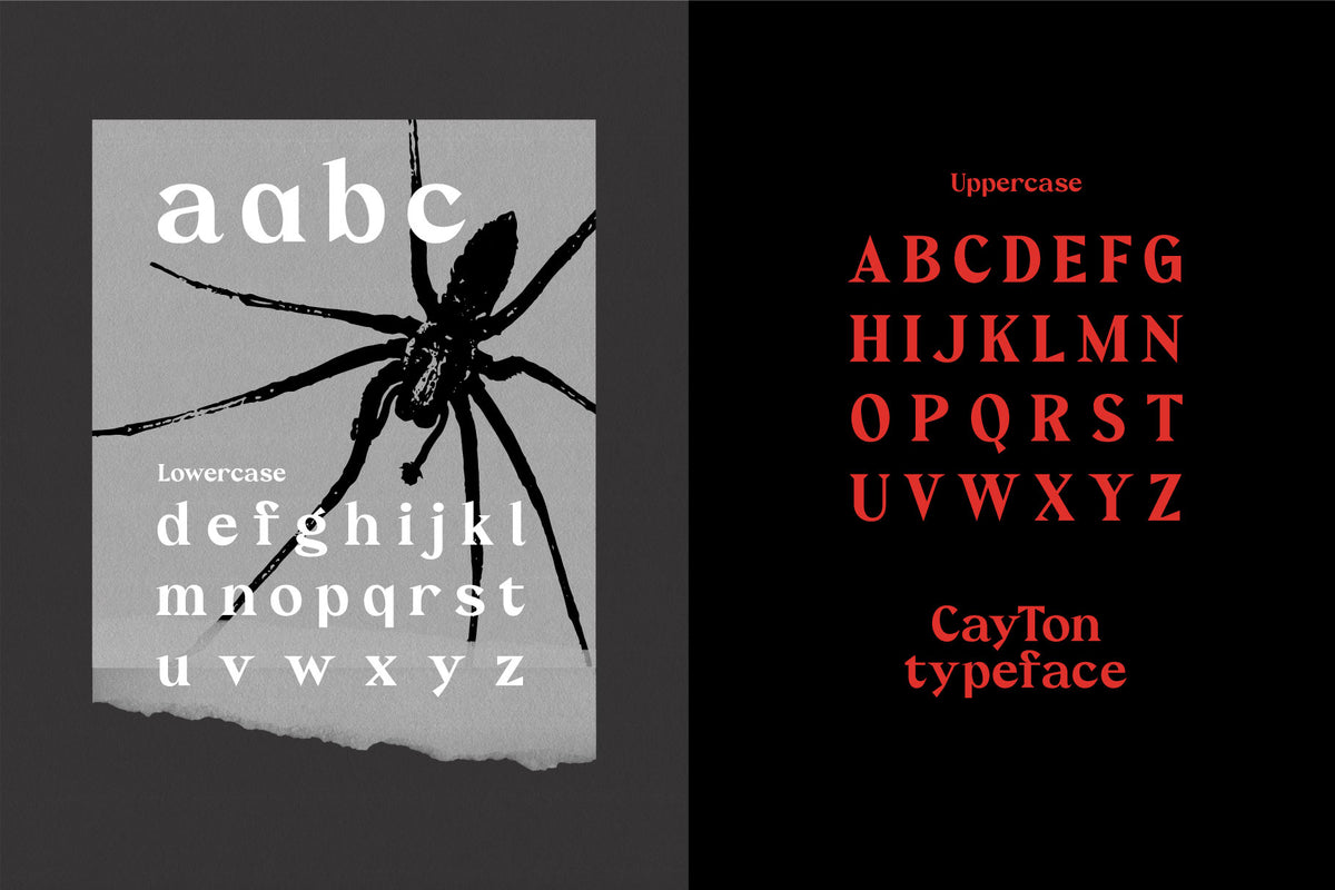 cayton-vintage-sharp-serif-font-drizy-font-3.jpg