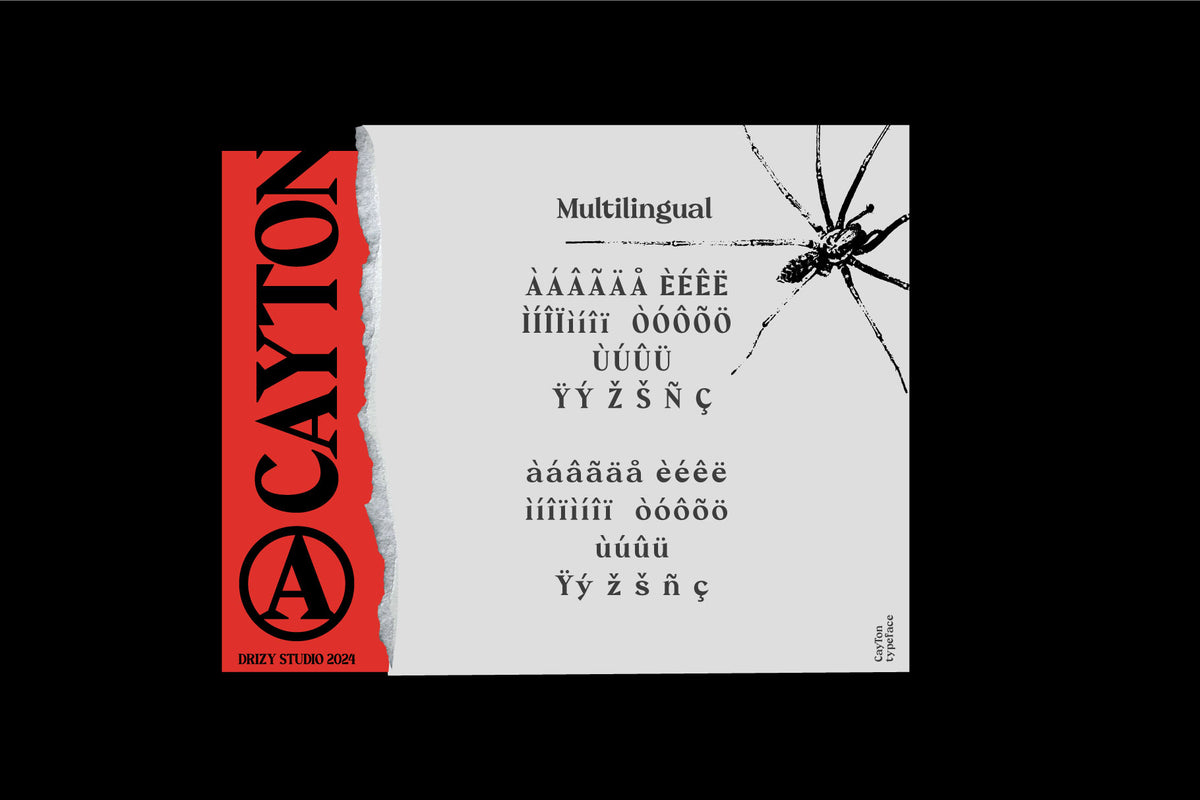 cayton-vintage-sharp-serif-font-drizy-font-4.jpg