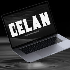 celan-bold-serif-craft-supply-co-1.jpg