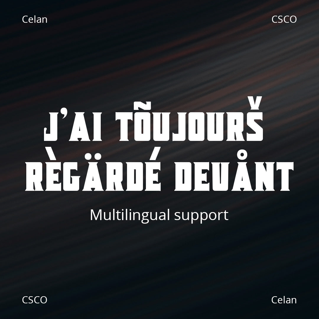 celan-bold-serif-craft-supply-co-7.jpg