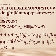 celia-savora-stylish-modern-serif-font-unknown-creator-10.png