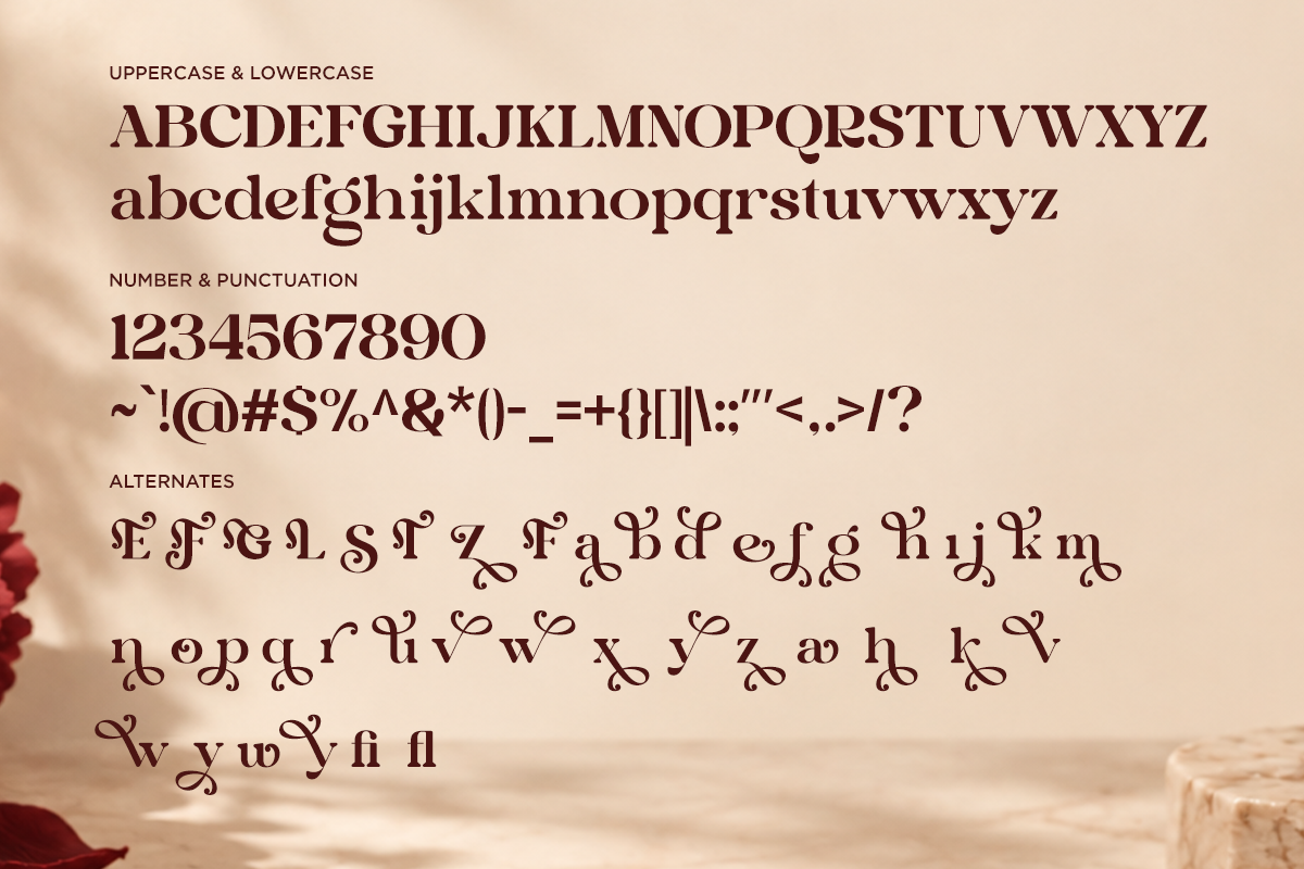 celia-savora-stylish-modern-serif-font-unknown-creator-10.png