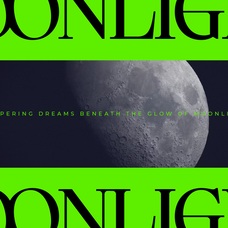 cerlog-modern-serif-display-amorfatype-studios-2.png