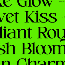 cerlog-modern-serif-display-amorfatype-studios-4.png