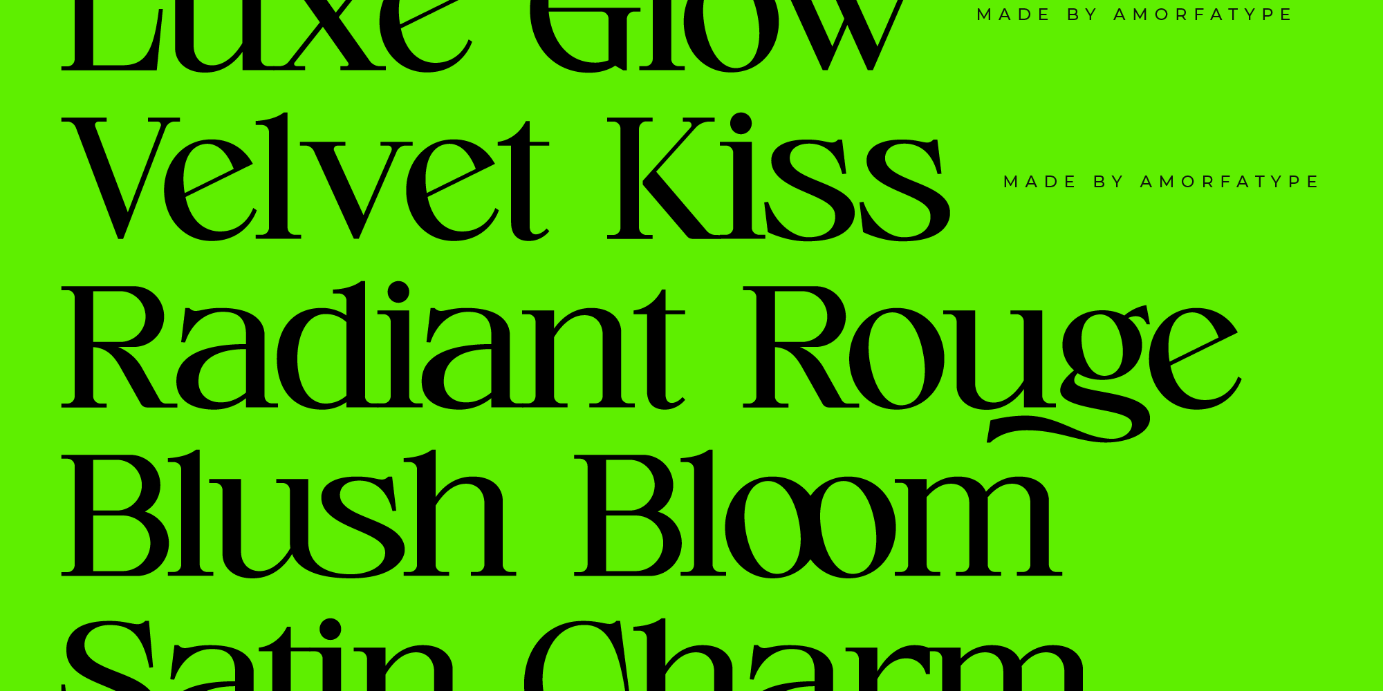 cerlog-modern-serif-display-amorfatype-studios-4.png