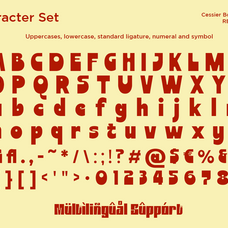 cessier-bold-chunky-sans-serif-font-say-studio-10.png