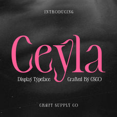 ceyla-art-nouveau-font-craft-supply-co-1.jpg