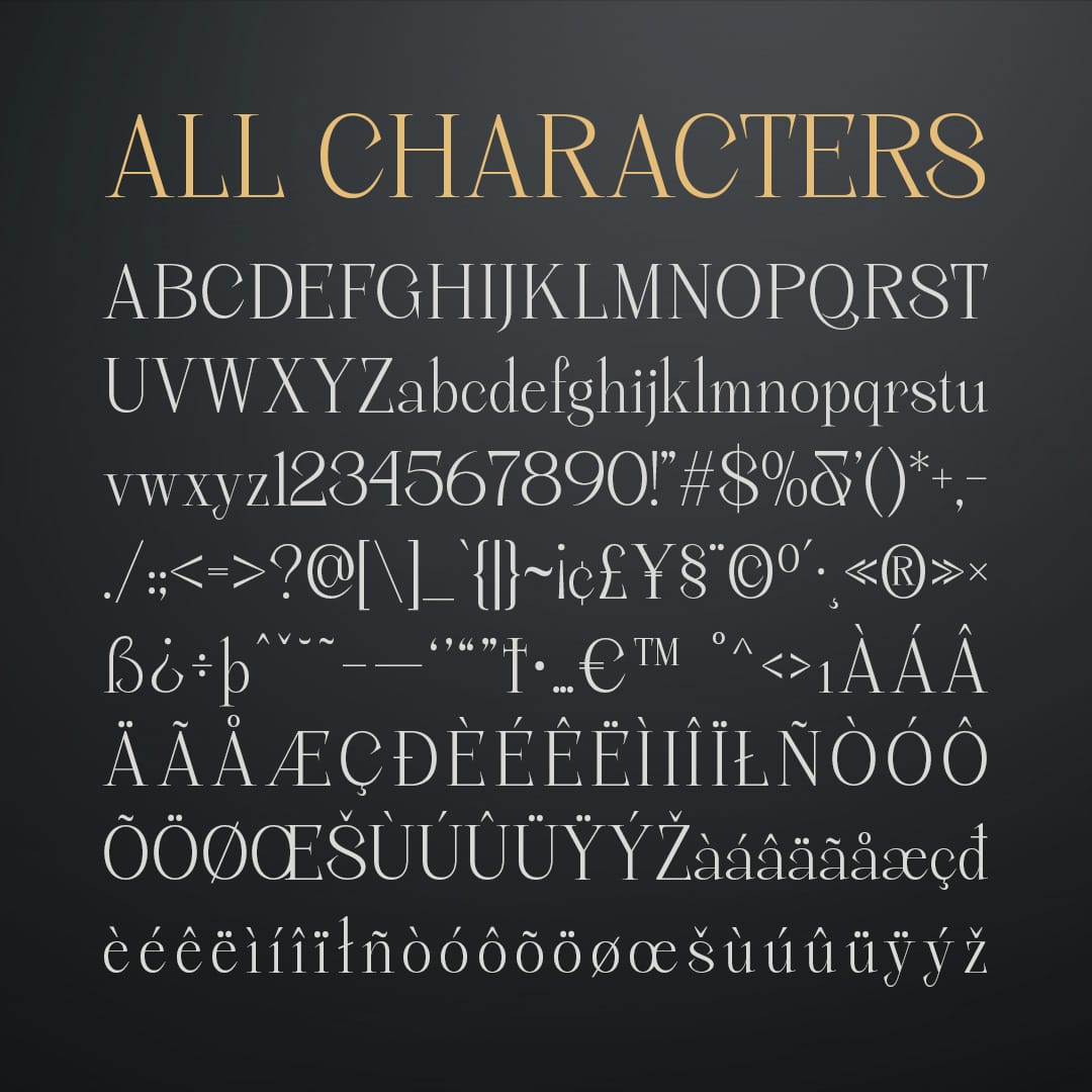 chavler-serif-typeface-craft-supply-co-8.jpg