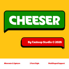 cheeser-stylistic-display-font-casloop-studio-1.jpg