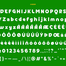 cheeser-stylistic-display-font-casloop-studio-4.jpg