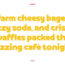 cheeser-stylistic-display-font-casloop-studio-5.jpg
