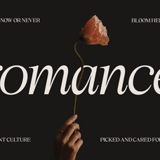 chelory-marvadesign-7.png