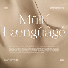 chilia-stylish-serif-font-craft-supply-co-7.jpg