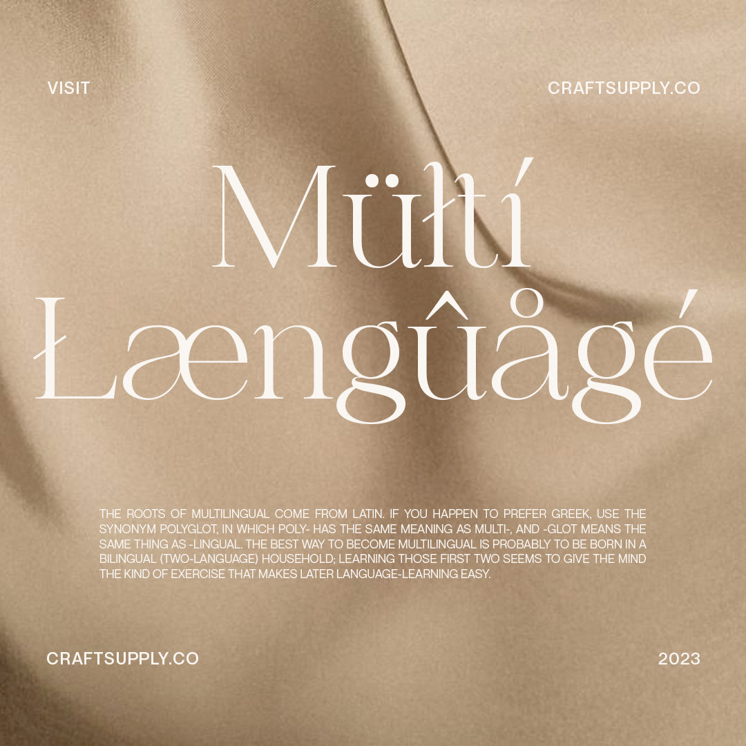 chilia-stylish-serif-font-craft-supply-co-7.jpg