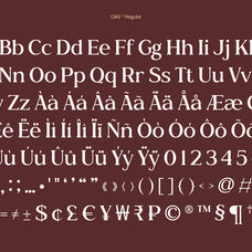 cike-flare-luxury-sans-typeface-casloop-studio-7.jpg