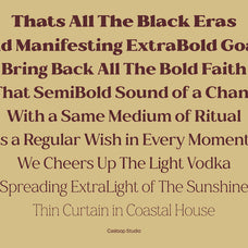 cike-flare-luxury-sans-typeface-casloop-studio-9.jpg